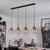 Gastor Lámparas suspendidas, Luminarias esféricas, Lámparas colgantes Colores ámbar, Transparente, 4 luces