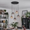 Gastor Lámparas suspendidas, Luminarias esféricas, Lámparas colgantes Colores ámbar, Transparente, Ahumado, 5 luces