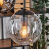 Gastor Lámparas suspendidas, Luminarias esféricas, Lámparas colgantes Colores ámbar, Transparente, Ahumado, 5 luces