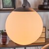 Gastor Lámparas suspendidas, Luminarias esféricas, Lámparas colgantes Blanca, 5 luces