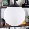 Gastor Lámparas suspendidas, Luminarias esféricas, Lámparas colgantes Blanca, 5 luces