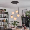 Gastor Lámparas suspendidas, Luminarias esféricas, Lámparas colgantes Blanca, 5 luces