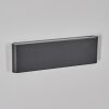 Gamas Aplique de exterior, Lámpara de baño, Apliques, Spot de pared Antracita, 1 luz