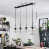 Gastor Lámparas suspendidas, Luminarias esféricas, Lámparas colgantes Transparente, 4 luces