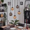 Gastor Lámparas suspendidas, Luminarias esféricas, Lámparas colgantes Colores ámbar, Ahumado, 5 luces