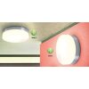 Globo OPAL Lámpara de techo Acero inoxidable, Níquel-mate, Blanca, 1 luz