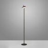 Lámparas Leuchten Direkt AMAG Lámpara de pie LED Negro, 1 luz