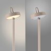 Lámparas Leuchten Direkt AMAG Lámpara de pie LED Gris, 1 luz