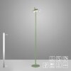 Lámparas Leuchten Direkt AMAG Lámpara de pie LED Verde, 1 luz