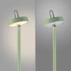 Lámparas Leuchten Direkt AMAG Lámpara de pie LED Verde, 1 luz