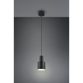 Lámparas Trio Agudo Lámparas colgantes Negro, 1 luz