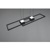 Lámparas Trio ALBANY Lámparas colgantes LED Negro, 1 luz, Mando a distancia
