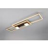 Lámparas Trio ALBANY Plafones LED Negro-dorado, 1 luz, Mando a distancia