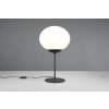 Lámparas Trio Fomento Lámparas de mesa Negro, 1 luz