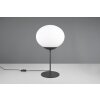 Lámparas Trio Fomento Lámparas de mesa Negro, 1 luz