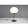 Lámparas Trio Fomento Lámparas de mesa Negro, 1 luz