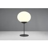 Lámparas Trio Fomento Lámparas de mesa Negro, 1 luz