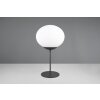 Lámparas Trio Fomento Lámparas de mesa Negro, 1 luz
