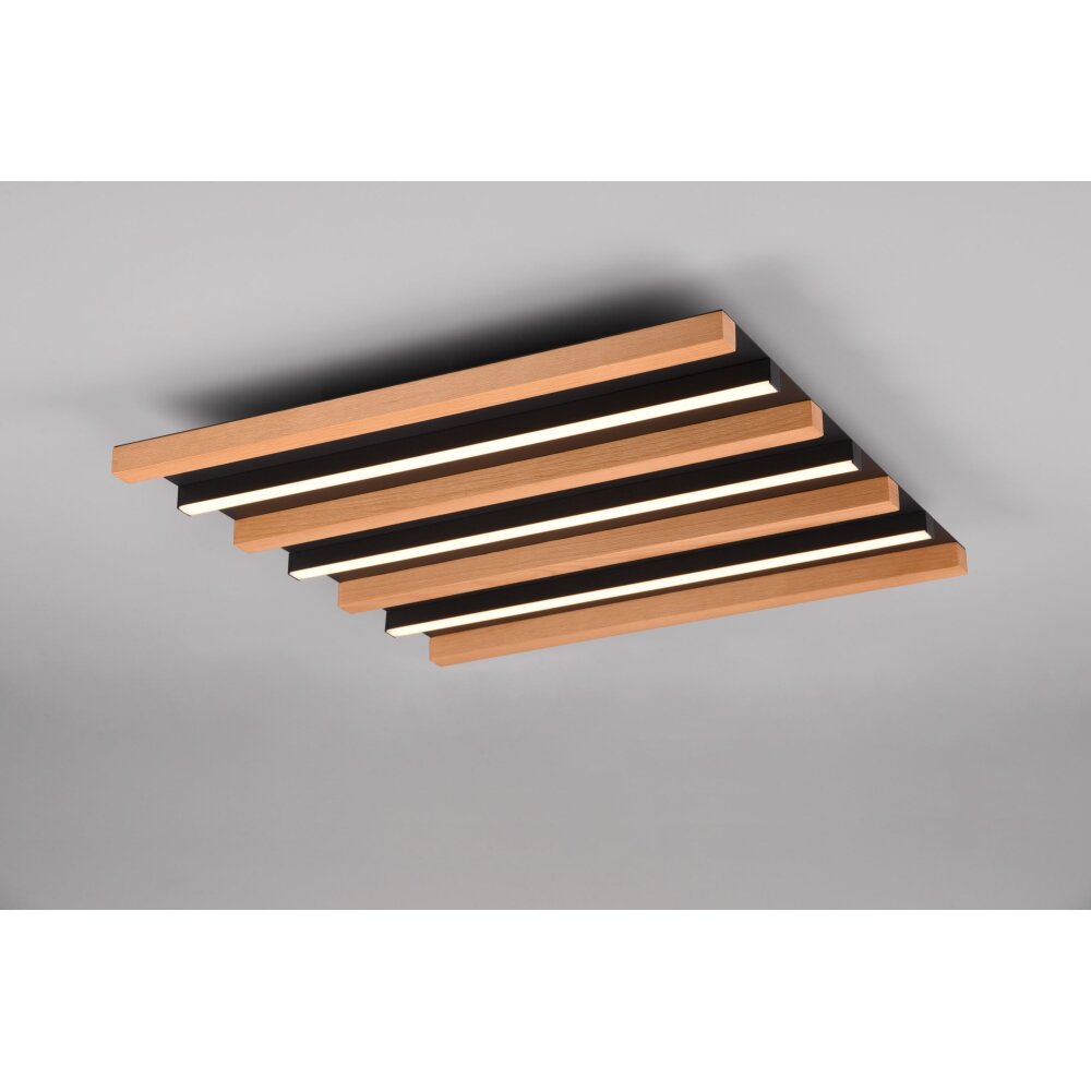 Lámparas Trio Fontana Plafones LED Negro, 1 luz main product photo