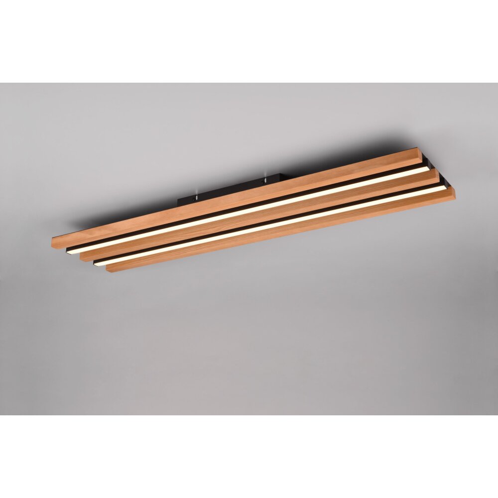 Lámparas Trio Fontana Plafones LED Negro, 1 luz main product photo