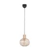 Lámparas Trio GILA Lámparas colgantes Beige, 1 luz