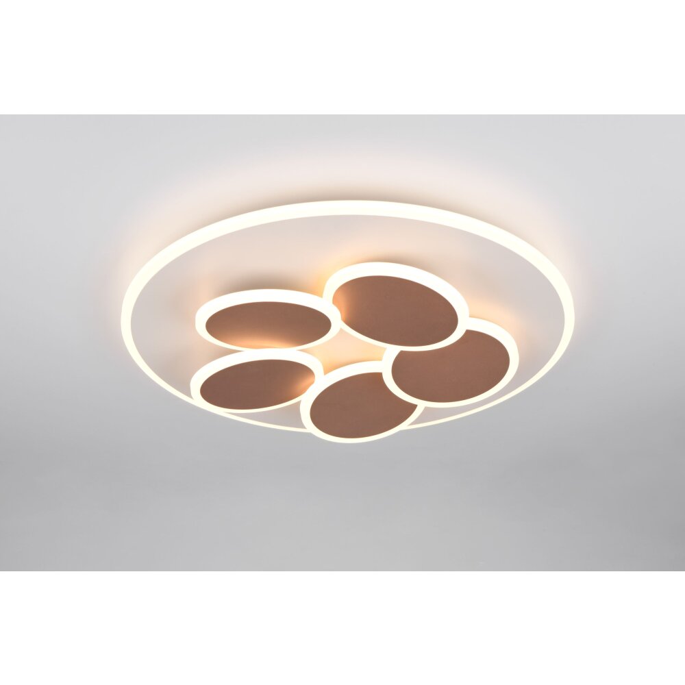 Lámparas Trio Mandala Plafones LED Gris, 1 luz, Mando a distancia main product photo