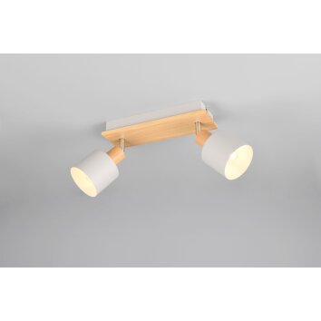 Lámparas Trio Shanti Spot techo Gris, 2 luces