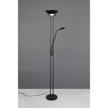 Lámparas Reality Spock Lámpara de pie LED Negro, 2 luces