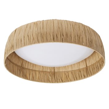 Lámparas Ledvance DECOR Plafones y apliques / Lámparas de techo y pared LED Marrón, 1 luz