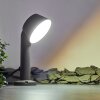 Moroni Poste de Jardín LED Antracita, 1 luz