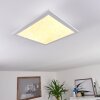 Cambote Lámpara de Techo LED Blanca, 1 luz, Mando a distancia