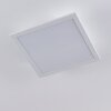 Cambote Lámpara de Techo LED Blanca, 1 luz, Mando a distancia