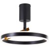 Lámparas Brilliant Merida Plafones LED Negro, 1 luz, Mando a distancia