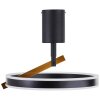 Lámparas Brilliant Merida Plafones LED Negro, 1 luz, Mando a distancia