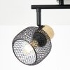 Lámparas Brilliant Giada Spot techo Negro, 2 luces
