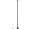 Lámparas Brilliant Neele Lámpara de pie LED Negro, 1 luz, Mando a distancia