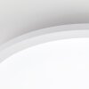 Lámparas Brilliant Briston Plafones LED Blanca, 1 luz