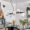 Chehalis Lámparas suspendidas, Luminarias esféricas, Lámparas colgantes Blanca, 8 luces
