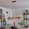 Chehalis Lámparas suspendidas, Luminarias esféricas, Lámparas colgantes Colores ámbar, Ahumado, 10 luces