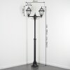 Fornelos Iluminación exterior, Candelabro, Iluminación de caminos Negro, 2 luces