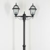 Fornelos Iluminación exterior, Candelabro, Iluminación de caminos Negro, 2 luces