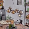 Chehalis Lámparas suspendidas, Luminarias esféricas, Lámparas colgantes Cromo, Transparente, Ahumado, 8 luces