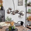 Chehalis Lámparas suspendidas, Luminarias esféricas, Lámparas colgantes Cromo, Transparente, Ahumado, 8 luces