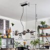 Chehalis Lámparas suspendidas, Luminarias esféricas, Lámparas colgantes Cromo, Transparente, Ahumado, 8 luces