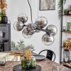 Gastor Lámparas suspendidas, Luminarias esféricas, Lámparas colgantes Transparente, Ahumado, 8 luces