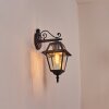 Fornelos Iluminación exterior, Aplique de exterior, Apliques Negro, 1 luz