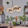 Chehalis Lámparas suspendidas, Luminarias esféricas, Lámparas colgantes Transparente, 8 luces