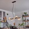 Chehalis Lámparas suspendidas, Luminarias esféricas, Lámparas colgantes Transparente, 8 luces
