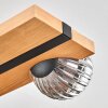 Chehalis Plafones, Luminarias esféricas Crudo, Negro, 6 luces