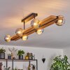 Chehalis Plafones, Luminarias esféricas Crudo, Negro, 6 luces
